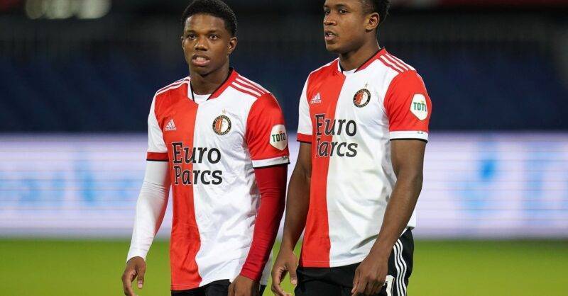 多样化的专 多样化的专